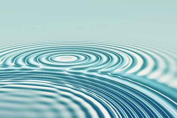 بيت بيرد كازينو الدعم